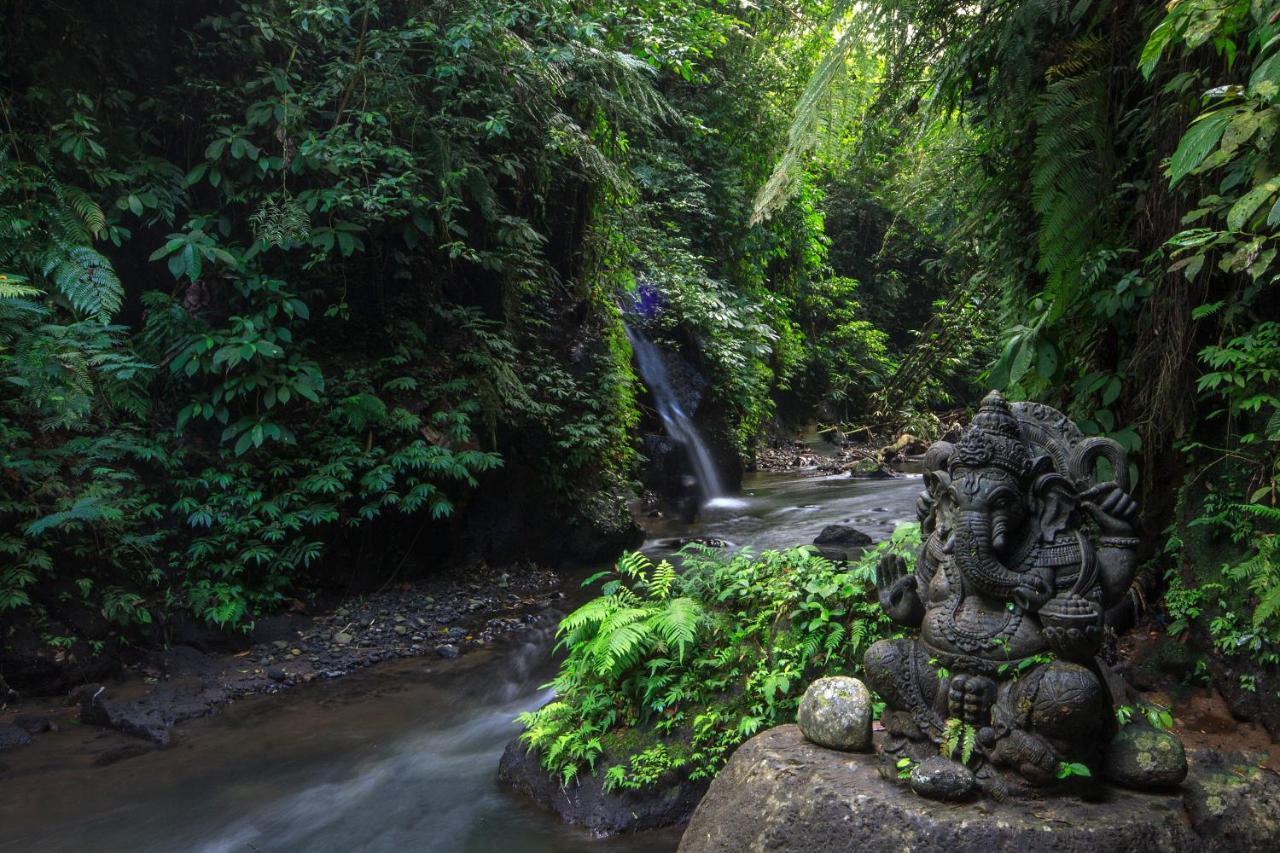 Bali Jungle Resort Tegallalang  Exterior photo