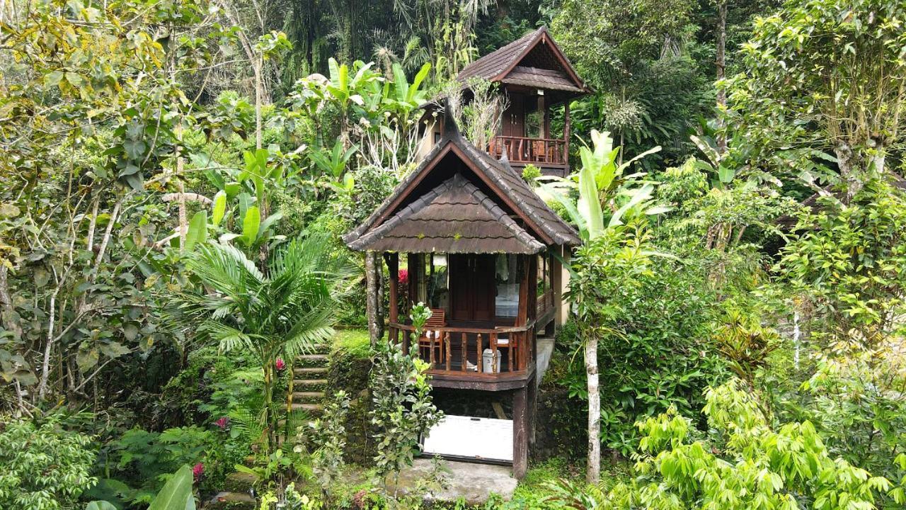 Bali Jungle Resort Tegallalang  Exterior photo