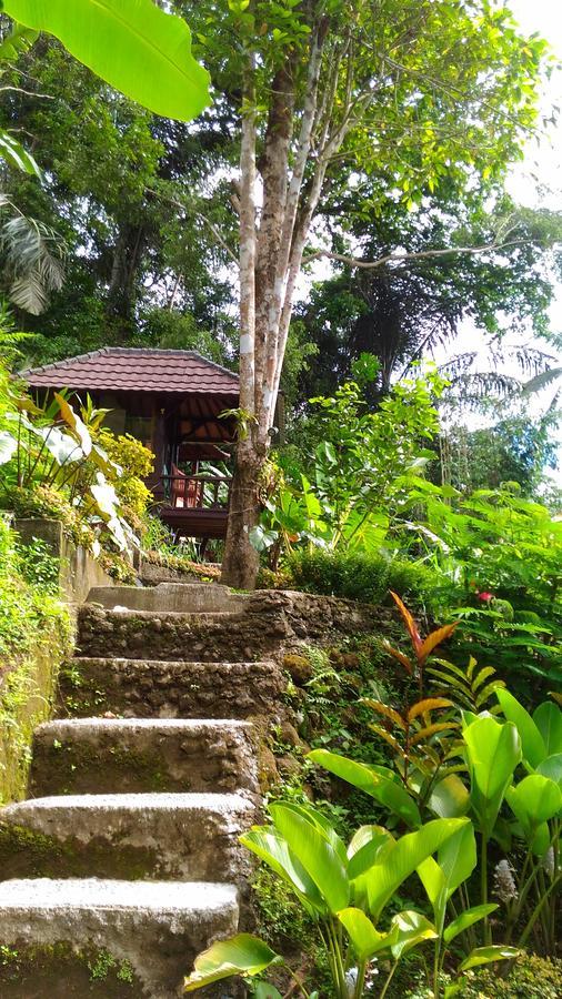 Bali Jungle Resort Tegallalang  Exterior photo